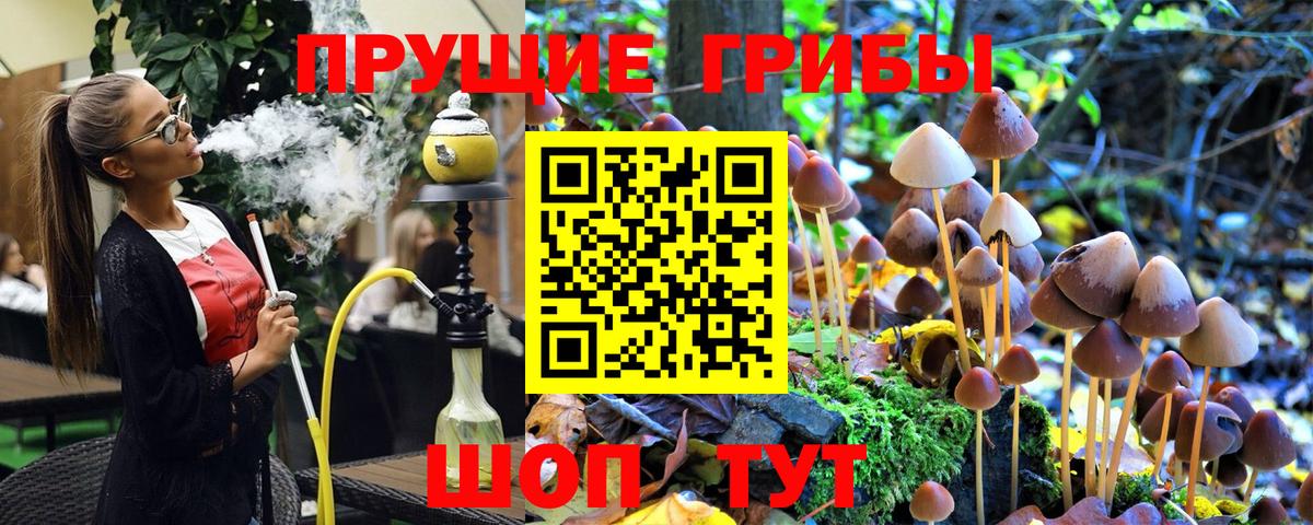 Псилоцибиновые грибы GOLDEN TEACHER  Вход с VPN  где найти наркотики  Киселёвск 